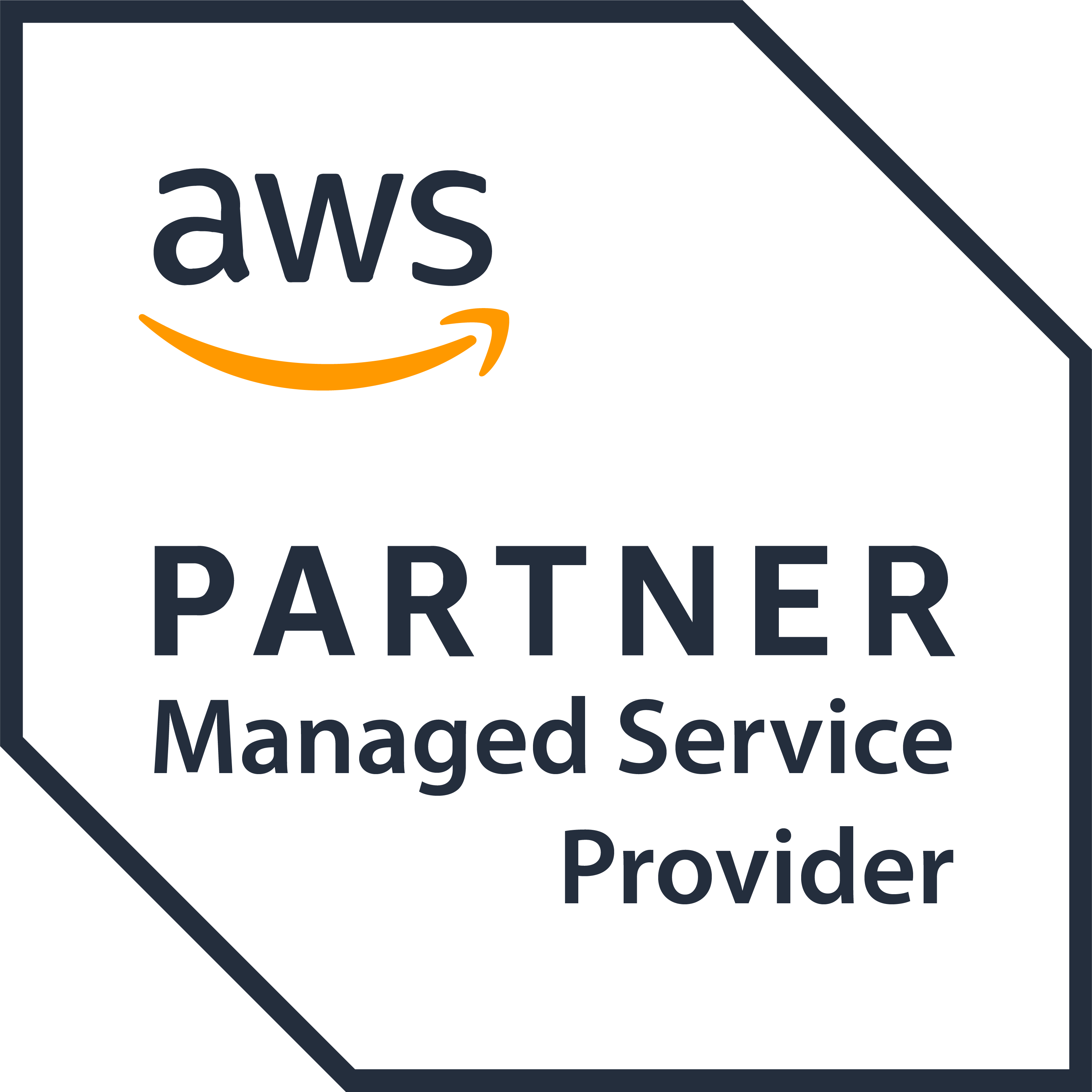 AWS Partner - Managed Service Provider