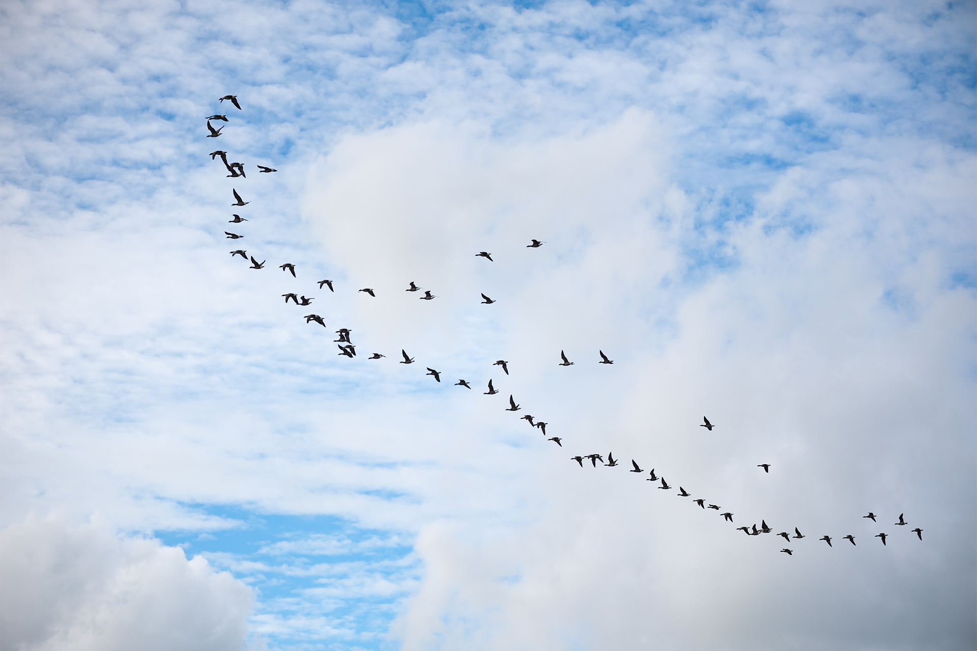 Cloud Migration